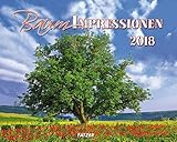 Image de Baum-Impressionen 2012: Fotokunstkalender zum Thema Bäume