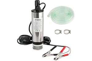 ANESTY Edelstahl Transfer Pumpe 12V Φ51mm Wasserpumpe Tauchpumpe für Auto Diesel Öl Heizöl Wasser Kraftstofftransfer Pumpe mit Herausnehmbarem Filter, 3m PVC Transparenter Schlauch, Schlauchklemmen