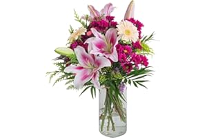 FLORES SOLIDARIAS TRABAJO & VIVIENDA FLORES SOLIDARIAS - Ramos de Flores Naturales Gerberas Alegres - Ramo Fresco de Calidad para Regalo, San Valentín, Día de la Madre, Bodas, Aniversarios, Cumpleaños y Decoración del Hogar