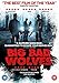 Big Bad Wolves [DVD] (2013) [2017]