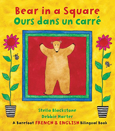 Bear in a Square /Ours Dans Un Carré