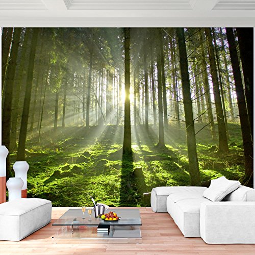 Fototapete Wald 396 x 280 cm - Vliestapete - Wandtapete - Vlies Phototapete - Wand - Wandbilder XXL - !!! 100% MADE IN GERMANY !!! Runa Tapete 9037012c …
