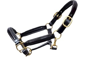 Aces Equine LEATHER HORSE HEADCOLLAR HALTER FULLY RAISED AND PADDED BLACK COLOR BRASS FITTING