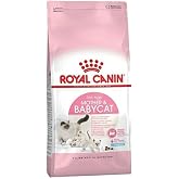 Royal Canin Mother&amp;Baby Cat 4 Kg Yavru-Yetişkin Kedi Kuru Maması