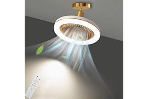 ‎LANMOU LANMOU Deckenventilator mit Beleuchtung, Klein Lampe mit Ventilator Schlafzimmer, 30W Deckenleuchte mit Ventilator Leise, E27-Fassung, Fernbedienung, Dimmbar, Timer, 3 Stufen, für Küche Bad Wohnung