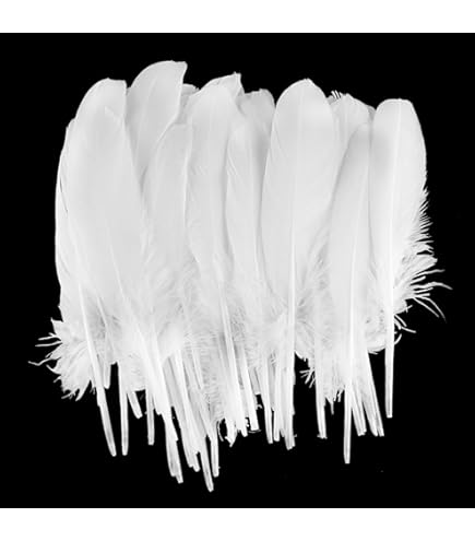 50 Piume Naturali Di Gallo 25-30 Cm - Per Artigianato, Costumi E Decorazioni - Foto 3