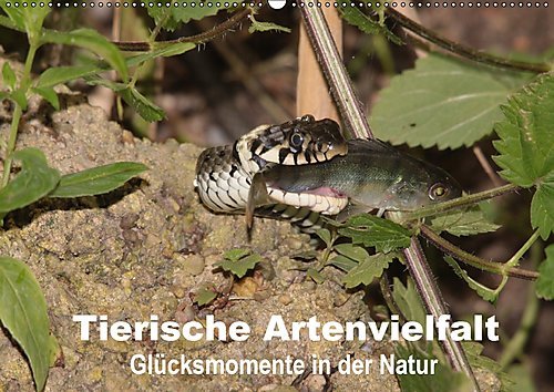 Tierische Artenvielfat Glücksmomente in der Natur (Wandkalender 2017 DIN A2 quer): Einige Beispiele aus der zahlreichen Tierwelt (Monatskalender, 14 Seiten ) (CALVENDO Orte)