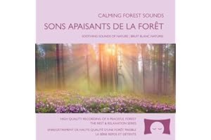 Sons apaisants de la forêt – Ambiance naturelle relaxante pour soulager le stress, méditer et créer un environnement paisible – Bruit blanc naturel