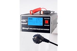 Etrogo Ładowarka do akumulatora samochodowego 12 V, 24 V, 250 W, 10 A, inteligentna ładowarka pulsu z automatycznym wykrywaniem, funkcja konserwacji, czarna