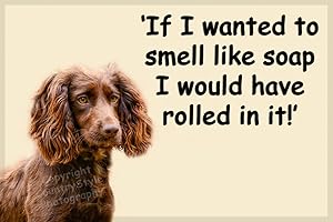 COUNTRYSTYLE GIFTS Brown Cocker Sprocker Spaniel Puppy Dog Funny Fridge Magnet Gift