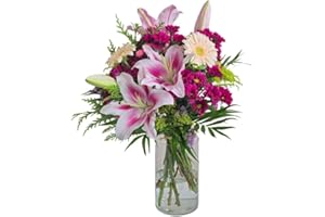 FLORES SOLIDARIAS TRABAJO & VIVIENDA FLORES SOLIDARIAS - Ramos de Flores Naturales Gerberas Alegres - Ramo Fresco de Calidad para Regalo, San Valentín, Día de la Madre, Bodas, Aniversarios, Cumpleaños y Decoración del Hogar