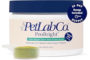 PetLab Co. ProBright® Dental Powder - Dog Breath Freshener - Teeth Cleaning Made Easy – Targets Tartar & Bad Breath - Formulated for Medium Dogs