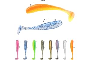 HENGBIRD 50 Pièces Set de Leurres Gummifisch pour Brochet et Sandre, avec 10 Têtes Jig Cebos Multicolores pour la Pêche en Eau Douce et Salée, Pratique, Durable et Écologique