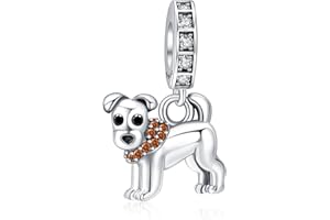 Rimgoris Abalorio de Plata de Ley 925 para Mujer, Pulsera, Collar, Caja de Regalo de Amor con corazón, Vela de Pastel Rosa, Globo aerostático de Feliz cumpleaños