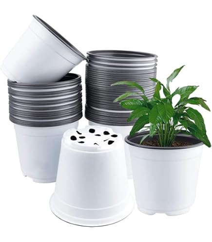 Lot De 10 Pots De Culture 8,5 Cm - Pots Ronds Plastique Pour Semis, Plantes, Succulentes - 7