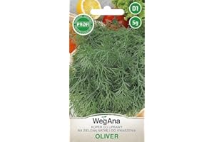 WegAna Semillas de Eneldo Eneldo Oliver 5g Jardín Eneldo Robusto Semillas de Hortalizas Semillas de Cultivo