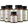 Jiva Brahmi - 120 * 4 Tablets For Mind Wellness With Triphala 60 Tablets Free | Helps to Relief Stress & Anxiety | 100% Pure & Natural