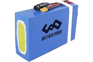 DICHOU Batterie Lithium-ION 60V 20ah pour vélo électrique Ebike, pour Moteur 1000W-2200W, Scooter/chaises à roulettes/Go Kart/Moto avec Chargeur