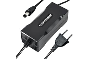 YZPOWER Cargador de Batería 29,4V 2A para 24V Litio Corriente para Bicicleta Eléctrica E-Bike Litio de 5.5 x 2.1 mm/5.5 mm x 2.5 mm Conector