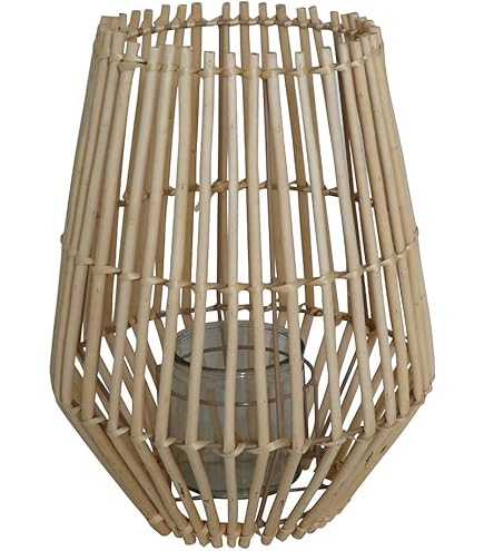 bambus balkon überwintern Bambus für den Balkon kaufen – Green Me Up