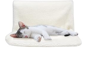 plastific Lit de radiateur en polaire chaude pour chat et chien – Hamac de radiateur solide et durable pour animaux de compagnie avec un cadre amovible solide (blanc – Lit de radiateur (45x30x24.5 cm)