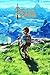 Produktbild CGC Huge Poster GLOSSY FINISH - The Legend of Zelda Breath of the Wild Nintendo Switch Wii U - EXT702 (24" x 36" (61cm x 91.5cm))