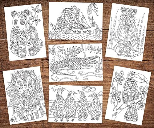 12 Adult or Children's Animal Wildlife Blank Colouring Greeting/Birthdays Cards