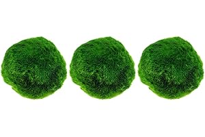 ibasenice Marimo Moss Ball - Aquarium Ball Set,Green Decortive Algae Water Purification Ball Living Plant Aquatic Plant for Aquarium Fish Tank Glass Jar Terrarium Kits(3Pcs)