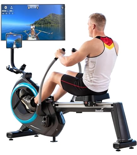 Skandika Rovek Rowing Machine, Wood, Rowing Machine For Home, Foldable