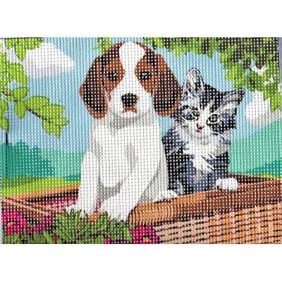 Distrifil Kit Canevas Chiot et Chaton gris