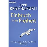 Einbruch in die Freiheit