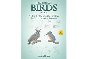 How to Draw Birds Again: A Step-by-Step Guide for New Realistic Drawing Projects