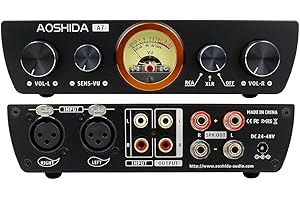 AOSHIDA A7 Ausgewogene Leistungsverstärker mit einstellbarer Lautstärke VU Instrument TPA3255DDVR Chip 300Wx300W Digitalverstärker XLR RCA Eingang RCA Lautsprecherausgang für Aktiv-Passiv Lautsprecher
