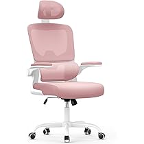 Chaise De Bureau, Chaise De Direction, Chaise Pivotante, Accoudoir De