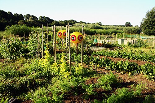 De-Bird – Ballons mit Augen zur Vogelabwehr – Vogelschreck für Tauben, Spechte etc – Wirksam und unschädlich - 3