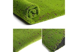 VIFERR Tappeto di Muschio Artificiale Muschio, Tappeto Erboso Finto Piante Verdi Decorative Muschio Erba 100 cm × 100 cm Pianta Verde Prato Ornamento in Miniatura per Casa Giardino Patio Decor