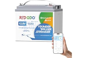 Redodo 12V 50Ah Bluetooth LiFePO4 Bateria,Bateria Litio para Motor de Currican,Proteccion de Baja Temperatura,10 Años de Vida,Ligera y Portatil, Camping,Solar,Barco,Marina