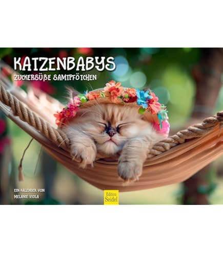 Edition Seidel Premium kalender De wereld van de katten 2026 formaat DIN A4 wandkalender kattenkalender huisdieren kitten katten katten kat kater kitten