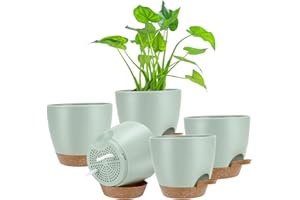 Augot Macetas de Plástico con Autorriego, 17.5/16.3/15/14/12.5cm Macetas Plástico Maceteros Decorativos Interior para Flores Plantas Interior (Verde)