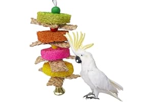 KEERSI Juguete de lufa natural y paja trenzada para loro, guacamayo, gris africano, periquitos, cacatúa