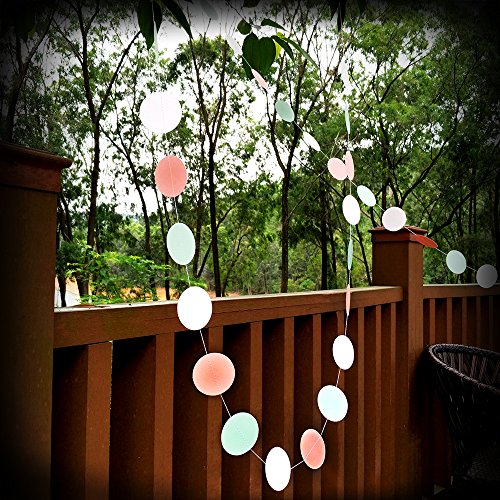 Eightnight Paper Craft Sets für DIY Party Dekorationen, Baby-Dusche, Festival einschließlich Circle Dot Girlanden, Tissue Papier Wabe Pom Pom Ball Laternen, Pom Pom Blumen, Bänder, Ballons - 5