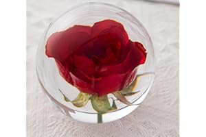 GREAT BRITISH TRADING LIMITED Zhyx Red Rose Briefbeschwerer Crystal Wishing Ball Der einzigartige rote ist ein perfektes Geschenk für Familie, Freunde, Paare und Kinder (8cm) im Durchmesser