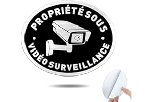 Goodvia Adhésif Panneau Propriété Privée sous Surveillance Vidéo Ovale 15x12cm Aluminium Brossé avec Trous Pré-percés Noir Classique/1 pièce