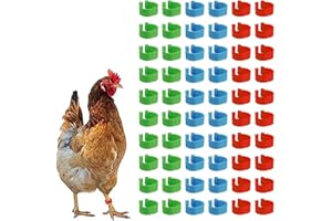 AYVRUOP hühnerringe,Geflügel Band, Plastikgeflügel Beinringe,60 Stück, leicht und langlebig, geeignet für Hühner, Enten, Tauben und andere Kleintiere