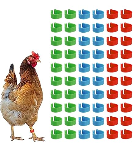 UOPJDD 20 Anneaux De Pied De Poulet En Plastique, Type De Snap-on