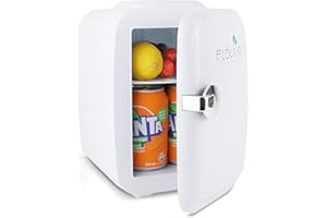 FLOVIA COOK BY NATURE 4L Mini Kühlschrank, 2 in 1 Tischkühlschrank mit Kühl- und Warmhaltefunktion, AC 220V im Haushalt / DC 12V-Buchse im Auto, Leise für Auto Schlafzimmer Büro Garten, Picknick Reisen Zeltplatz