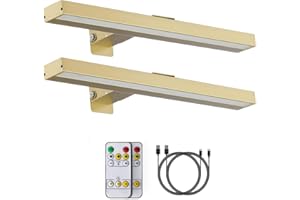 MIOBLUE Picture Lights for Wall, Wireless Painting Light with Remote, 16'' Rechargeable Art Battery Display Lamp Dimmer Timer, 3 Modes Magnetic Wall Light for Artworks Frames Dartboard- 2Pack