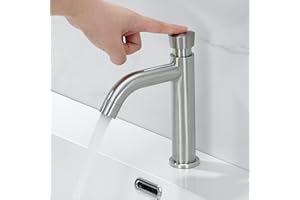 BuntHaus Robinet Lavabo Eau Froide - Robinetterie Salle de Bain en Acier Inoxydable, Interrupteur à Pression ABS Non Automatique, Design Moderne Argent Brossé