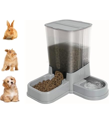 Distributeur Automatique Croquettes Et Eau Pour Chat/chien - 1.8L, Bol Amovible, Design Compact Pour Intérieur