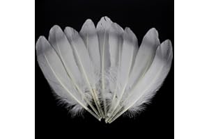 CHAOJUKJ 20-25cm 25 PCS Silvery White Feathers Natural Goose Feathers for DIY Wedding Decorations Angel Wings & Fairy Crafts